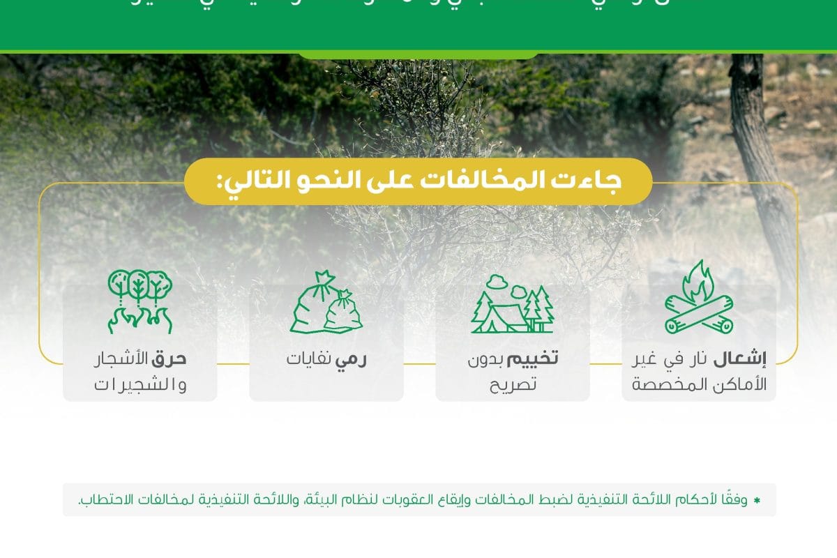 83 مخالفة إضرار بيئية داخل أراضي الغطاء النباتي في منطقة عسير