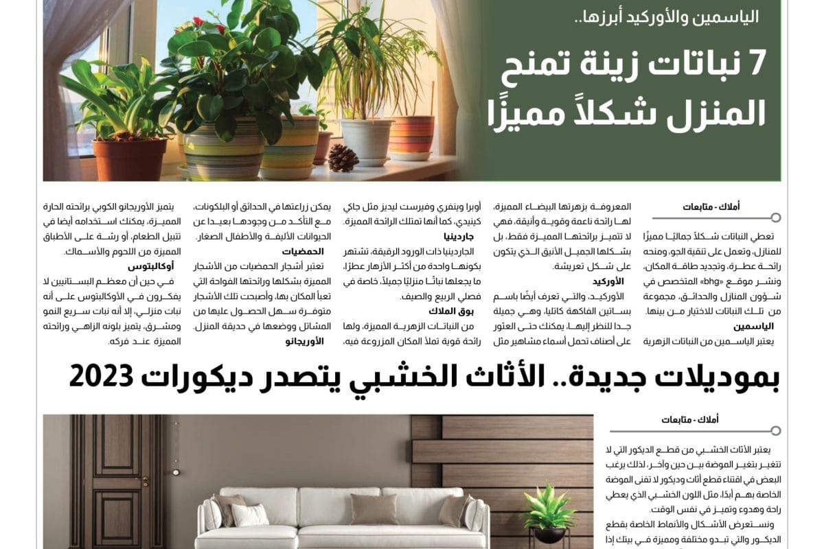 ديكور- نباتات الديكور