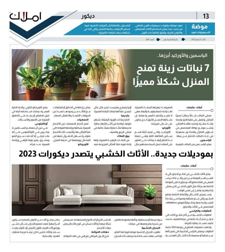 ديكور- نباتات الديكور