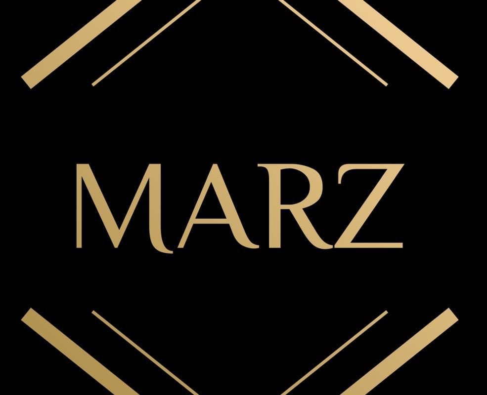 شعار مارز- ريادة الأعمال