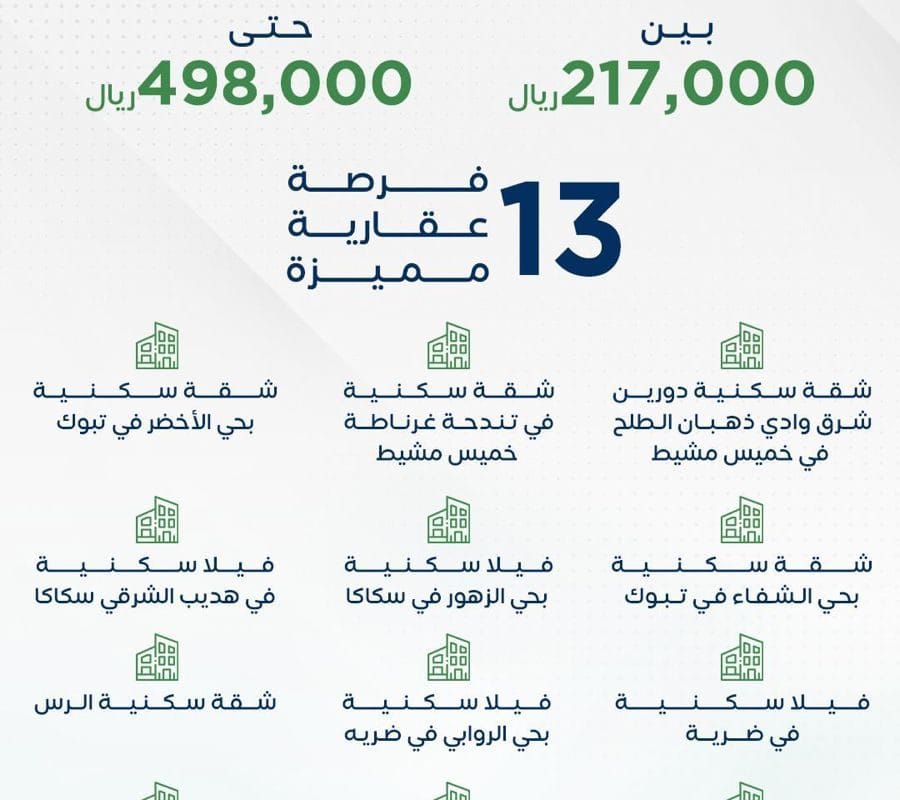 مزاد شادن الخير - دار المزادات
