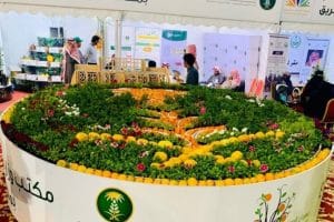 مهرجان الحمضيات يالحريق